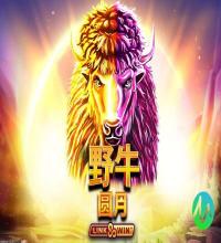 完善的客服支持